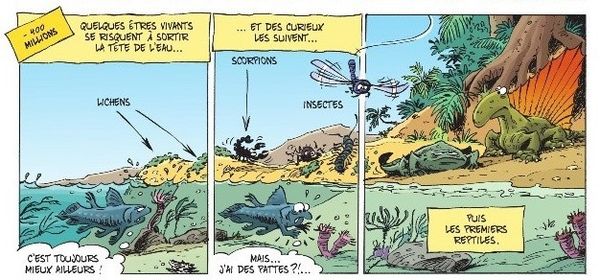 Histoire de l'histoire de France – Par Thierry Laudrain – Ed. Bamboo. L'art de résumer l'histoire de France en 42 planches