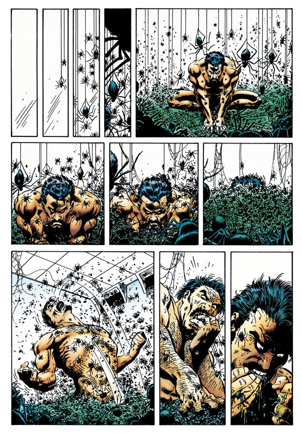 Spider-Man : La Dernière chasse de Kraven – Par J.M. DeMatteis & Mike Zeck – Panini Comics