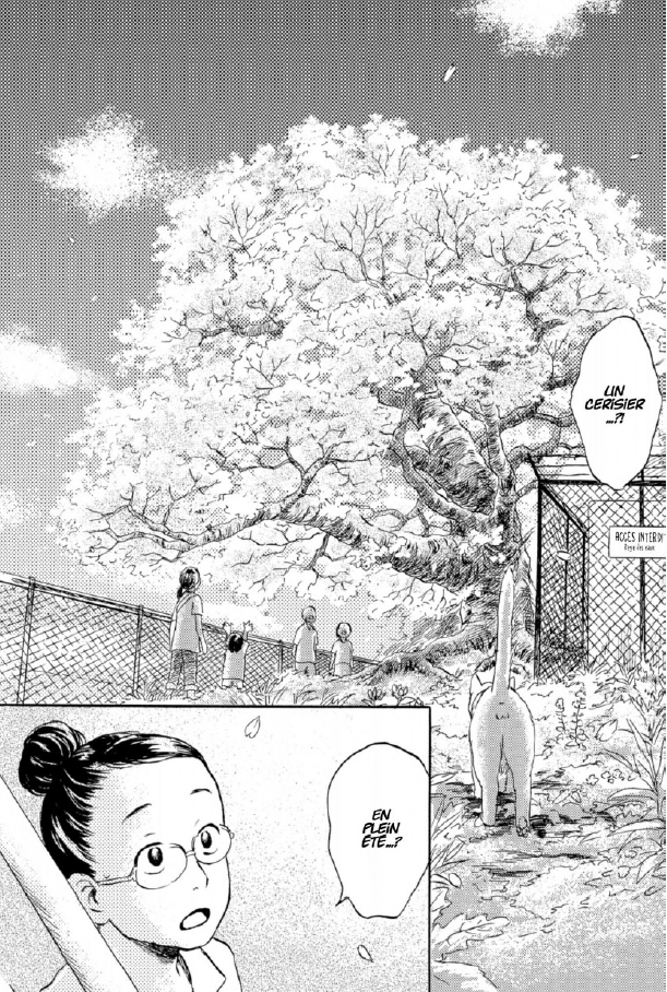 Flow – Tomes 1, 2 et 3 – Par Yuki Urushibara – Kana