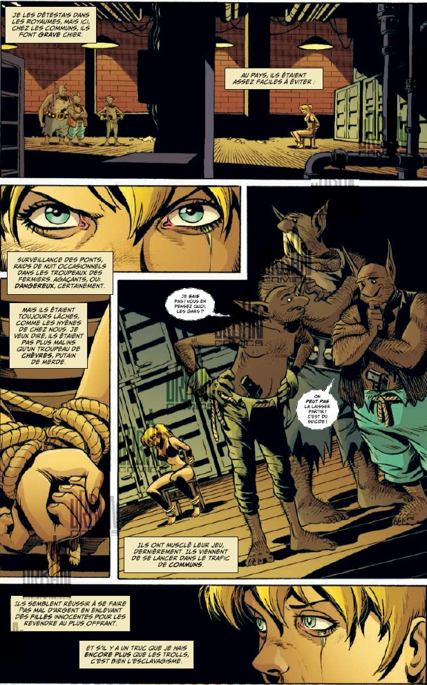 Fairest T4 - Par Bill Willingham, Marc Andreyko et Shawn McManus- Urban Comics