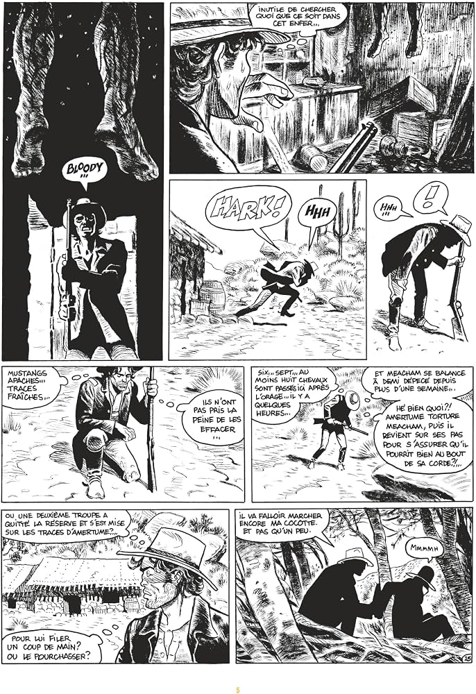 Les Carnets de Blueberry, un régal !