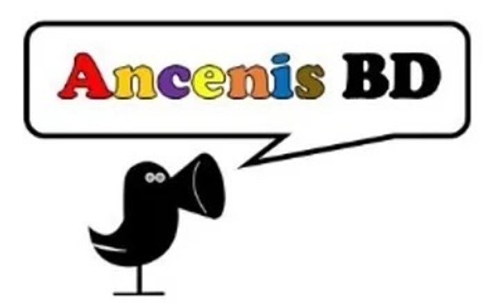 9e Festival de l'illustration et de la BD du Pays d'Ancenis (44)