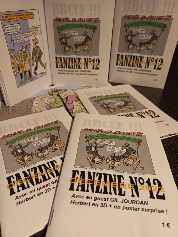 Bon ben ça c'est fait ! 12e pour le fanzine BBCCF