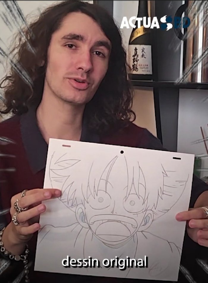 Manga et japanimation : appel à lots chez Pérez Expertises