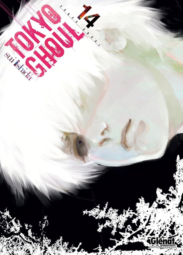Tokyo Ghoul, fin et suite