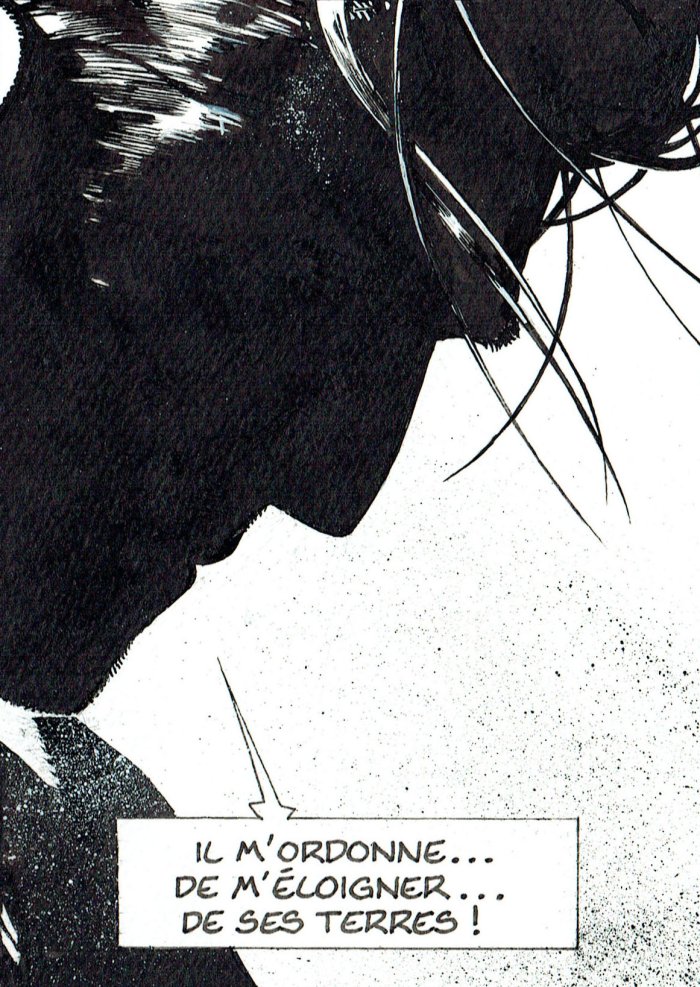 Exposition-vente - Hugues Labiano - à la Galerie de La Bande Dessinée (Bruxelles)