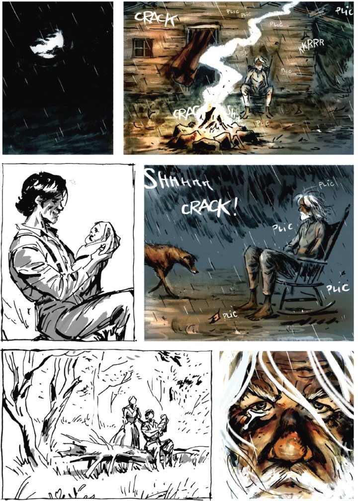 Coup de cœur de la rentrée : "Wilderness", par Ozanam & Bandini, d'après Lance Weller - Soleil 