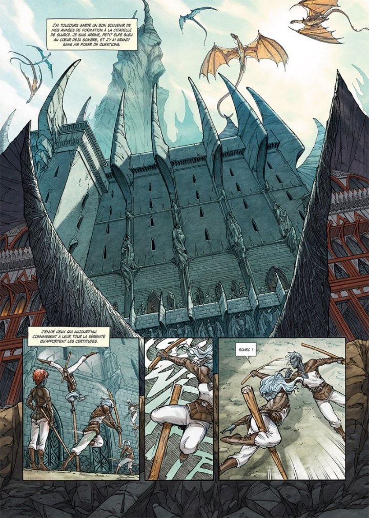 Elfes T. 25 : Vengeance noire - Par Christophe Arleston & Dana Dimat - Soleil Celtic