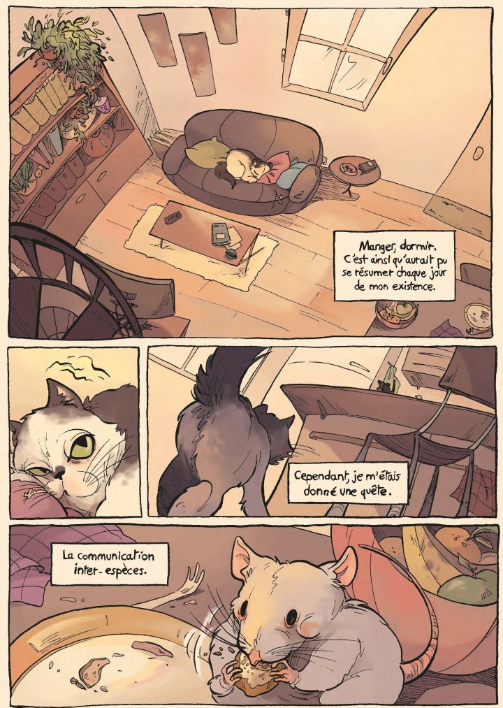 Demain les chats - Par Pog & Naïs Quin, d'après Bernard Werber - Albin Michel