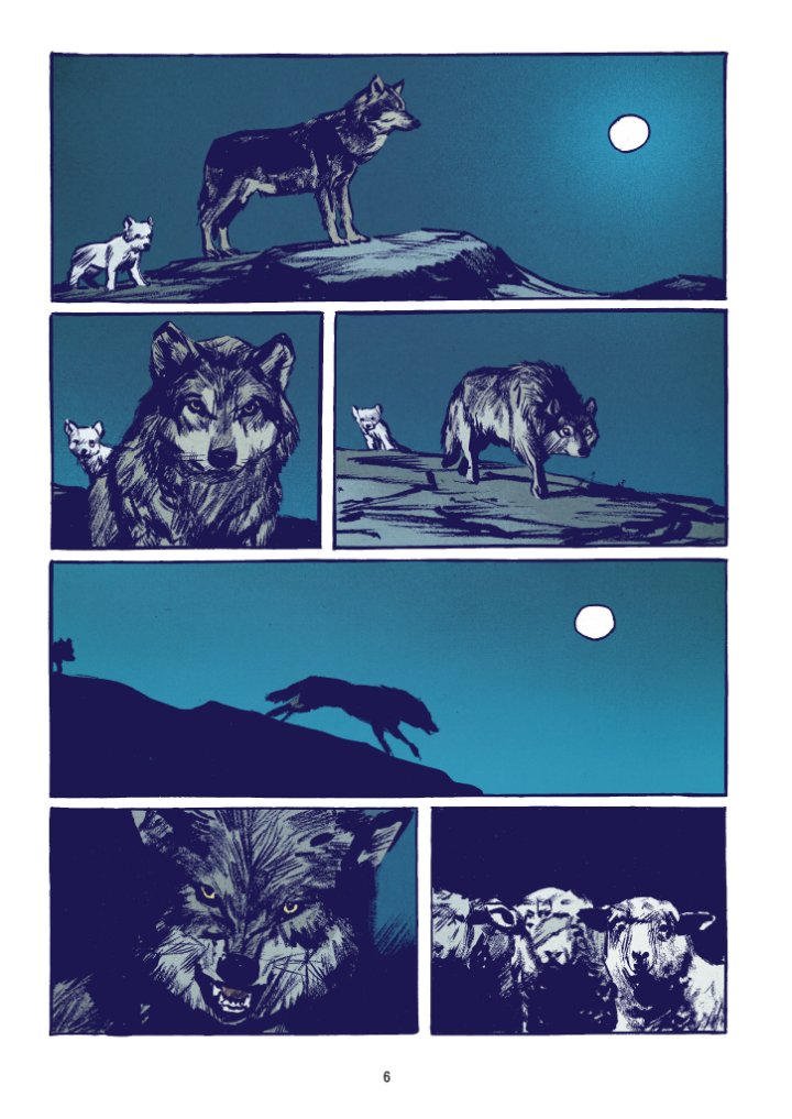 Le Loup - Par Rochette - Casterman