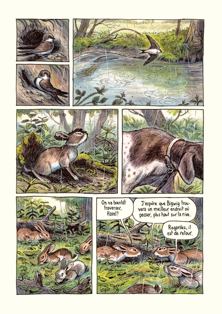 Watership Down : un classique de la littérature anglaise adapté en BD