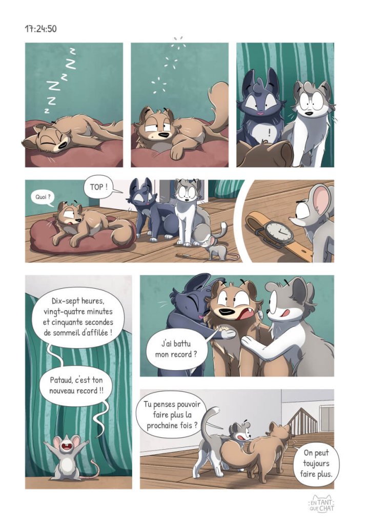 Une BD de chats humoristique en financement participatif