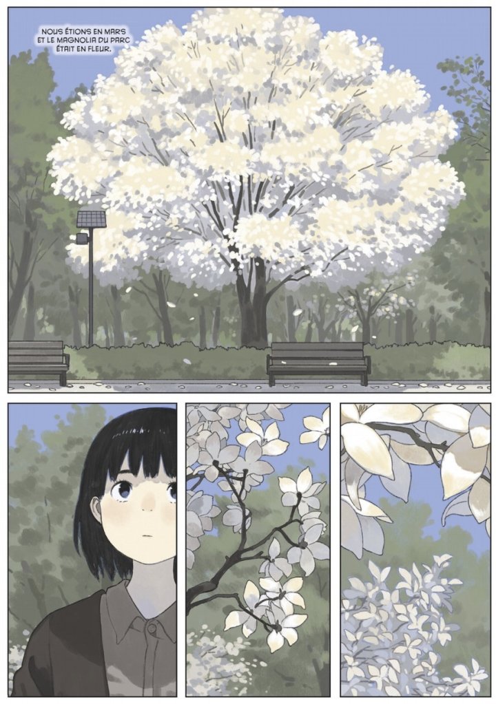 Sous un magnolia en fleur - Par Golo Zhao – Éd. Glénat