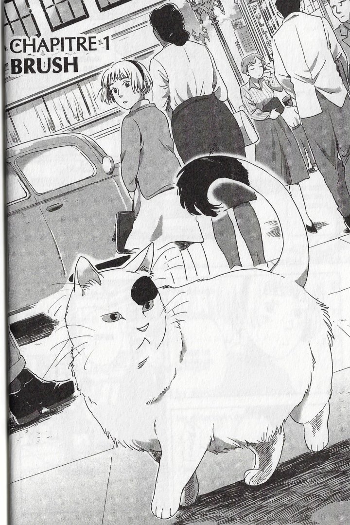 Le Chat mène l'enquête - Par Noho - Éd. Doki Doki