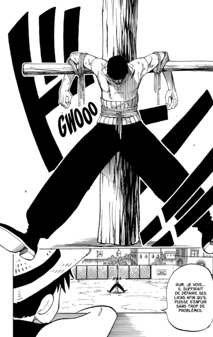 One Piece centenaire