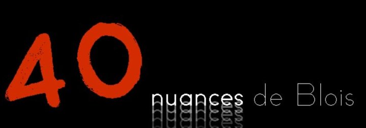 Exposition "40 nuances de Blois"