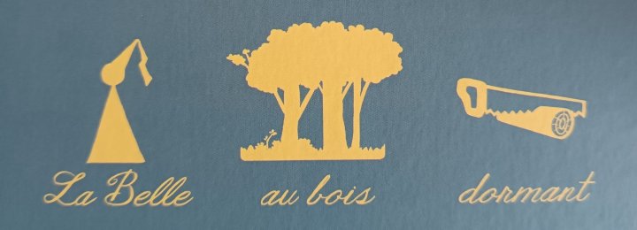 Le Monde de Pikto – Par Michel Alzéal – Ed. Paquet