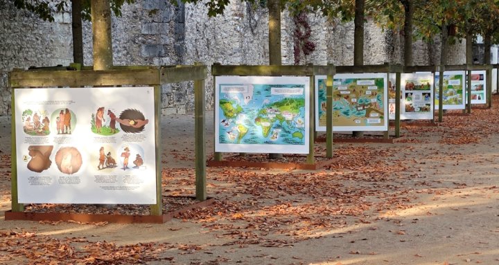 La BD au festival des Rendez-vous de l'histoire de Blois