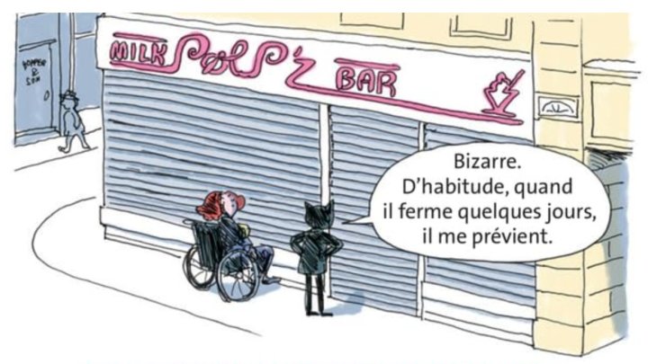 Miss Chat et le secret du viking King – Par Jean-Luc Fromental & Joëlle Jolivet – Ed. Hélium