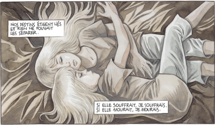 La Fée Assassine - Par Olivier Grenson et Sylvie Roge - Le Lombard