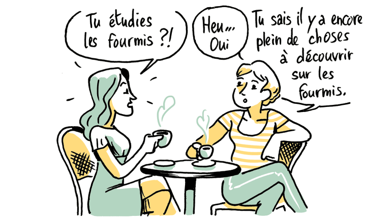 La Guerre des fourmis – Par Franck Courchamp et Mathieu Ughetti - Éditions Équateurs Sciences