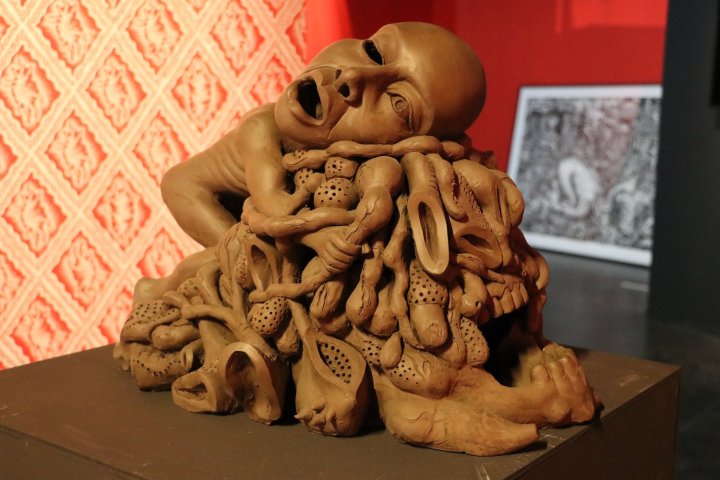« Dans les têtes de Blanquet », une exposition-choc à la Halle Saint Pierre