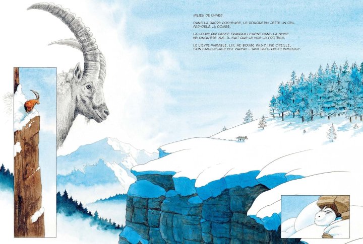 La Meute : une plongée dans la vraie vie des loups