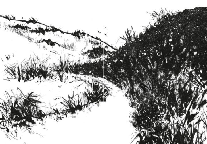 Mauvaises herbes - Par Keum Suk Gendry-Kim - Ed. Futuropolis