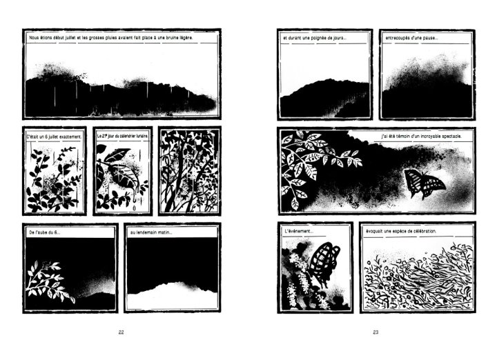 Mémoires d'un frêne - Par Park Kun-woong - Rue de l'échiquier