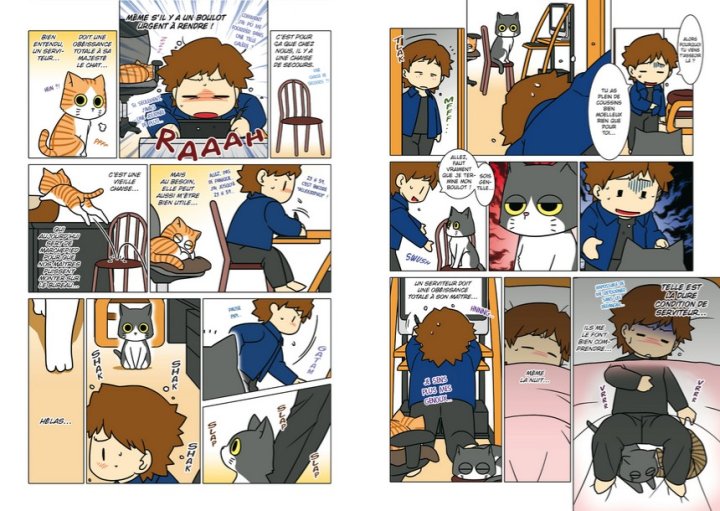 Sa Majesté le Chat - Par Akihiro Kimura - Doki Doki