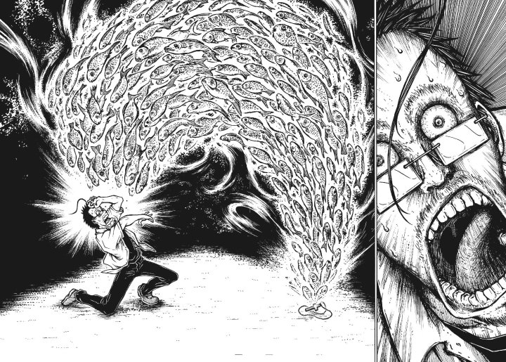 « Ichtyophobia », pour un monde dépoissonné !