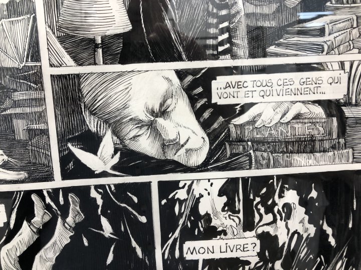 Daria Schmitt : "La bande dessinée m'offre l'opportunité de voyager à l'intérieur des œuvres littéraires que j'aime" [INTERVIEW]