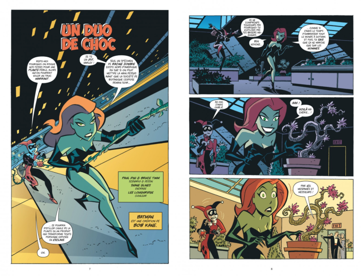 D'Amour et de Ronces - Par Paul Dini, Bruce Timm & Collectif - Urban Comics