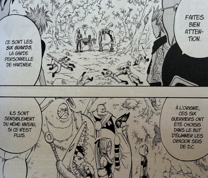 Rave T. 12 Edition originale - Par Hiro Mashima – Éd. Glénat Manga