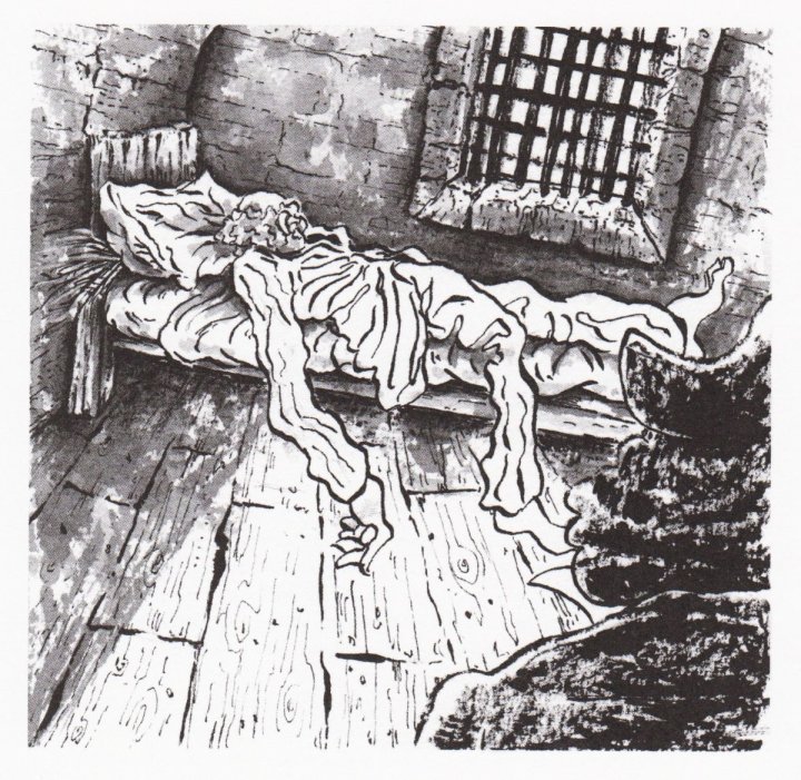 Toussaint est mort dans sa tombe - Par Sadri Khiari - Actes Sud BD