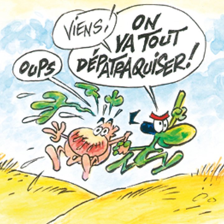 Neuvième édition du festival « Formula Bula, bande dessinée et plus si affinités »