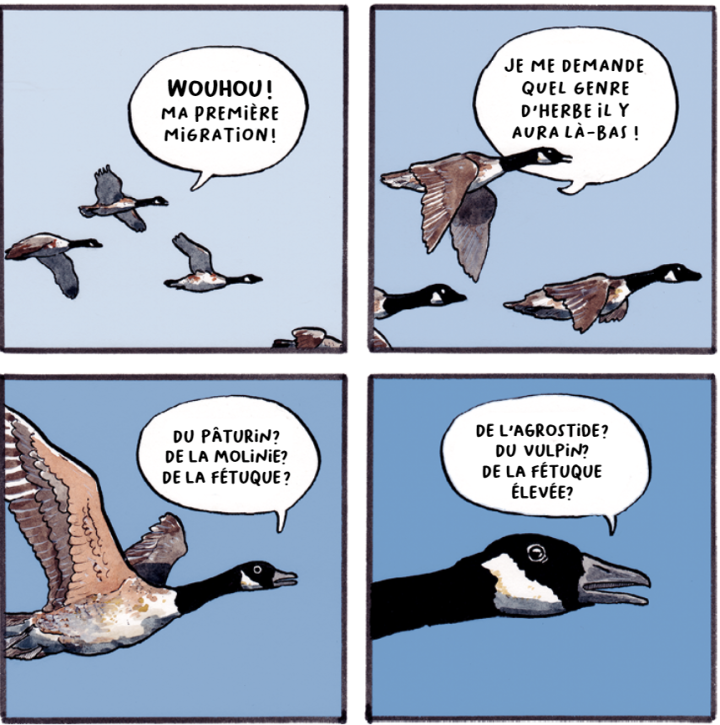 Prises de bec - Par Joshua Barkman - Ed. Kata