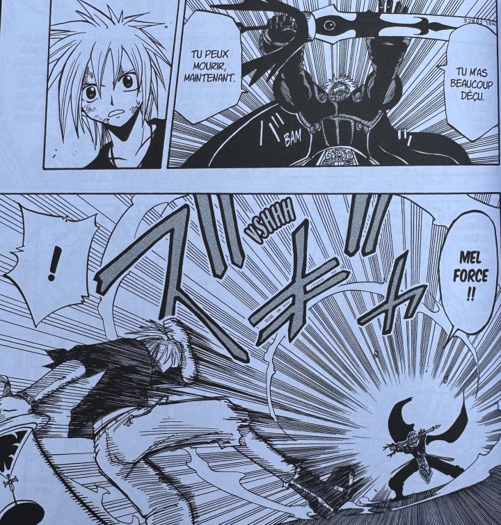 Rave T.5 & T.6 Edition originale – par Hiro Mashima – Ed. Glénat Manga