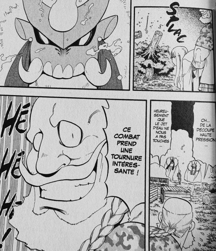 Tsugai – Daemons of the Shadow Realm T.9 - par Hiromu Arakawa – Éd. Kurokawa