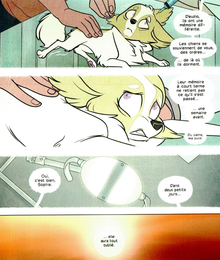 Stray Dogs — Par Tony Fleecs & Trish Forstner — Éd. Panini Comics