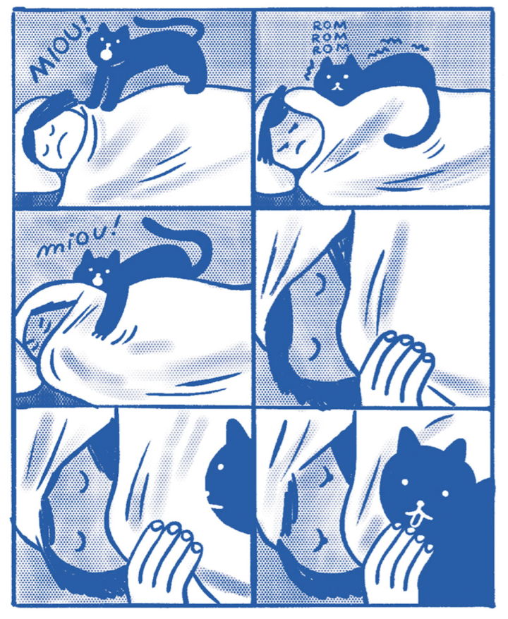 Miaou ! - Par Joana Estrela - Ed. Eidola