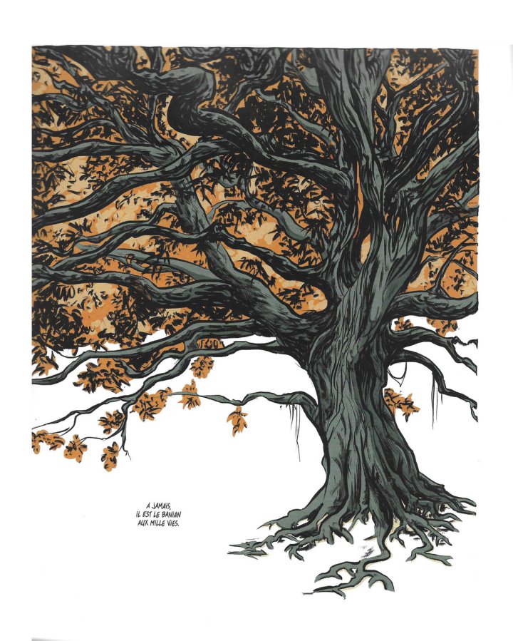 La Querelle des arbres – Par Amaya Asumard & Renaud Farace – Edition Casterman