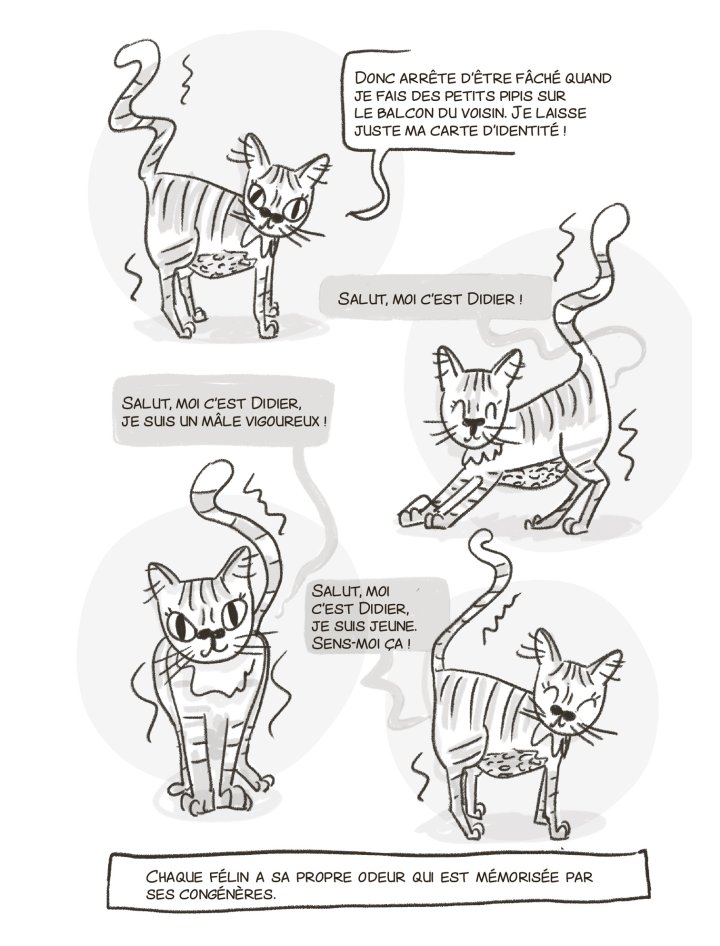 Dans la tête d'un chat - Par Lili Sohn & Jessica Serra – Humensciences