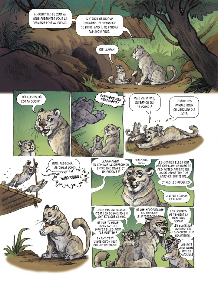 Précommande et Crowdfunding, "Petites Taches" BD jeunesse sur des Panthères des Neiges