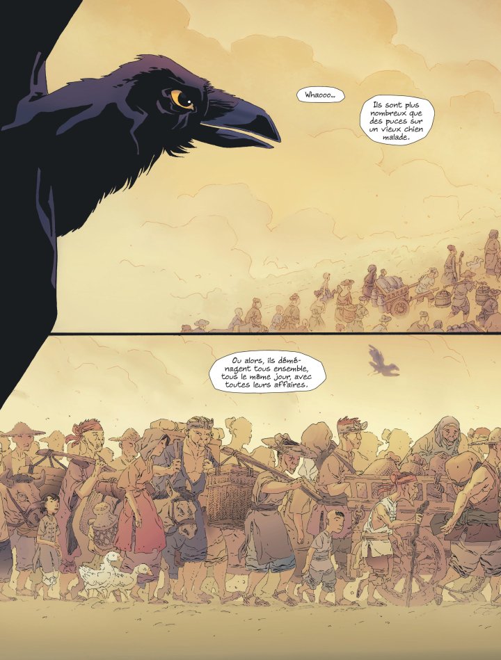 Pierre rouge, plume noire - Par Thierry Robin - Dargaud