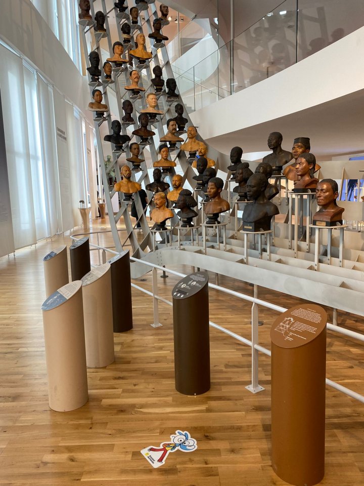 Ariol fête les 10 ans du Musée de l'Homme