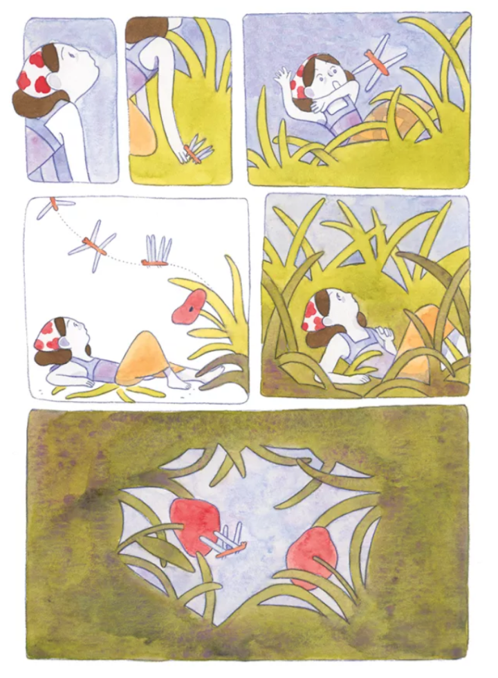 La Forêt de Nénue - Par Candie Allard - Éd. Sarbacane