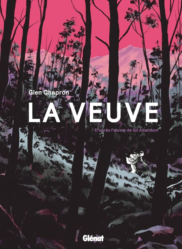 Rencontre avec Glen Chapron, l'auteur de "La Veuve" (Niort)