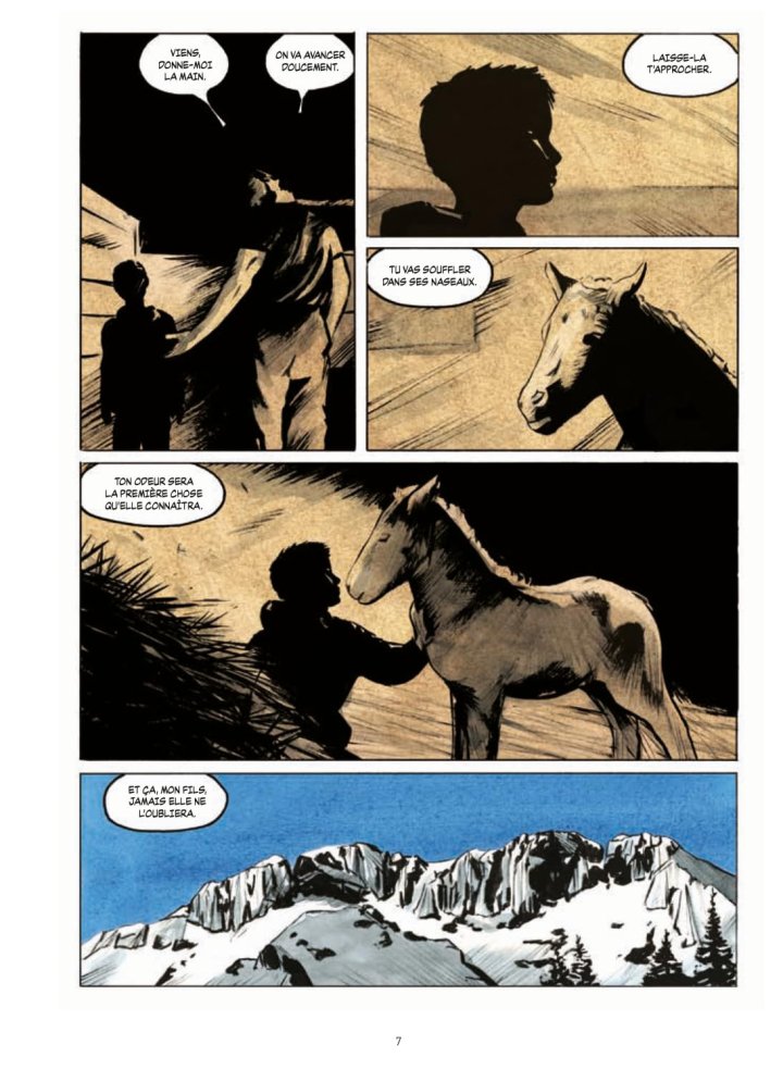 Mona, rudes vies de cheval et d'hommes dans les montagnes