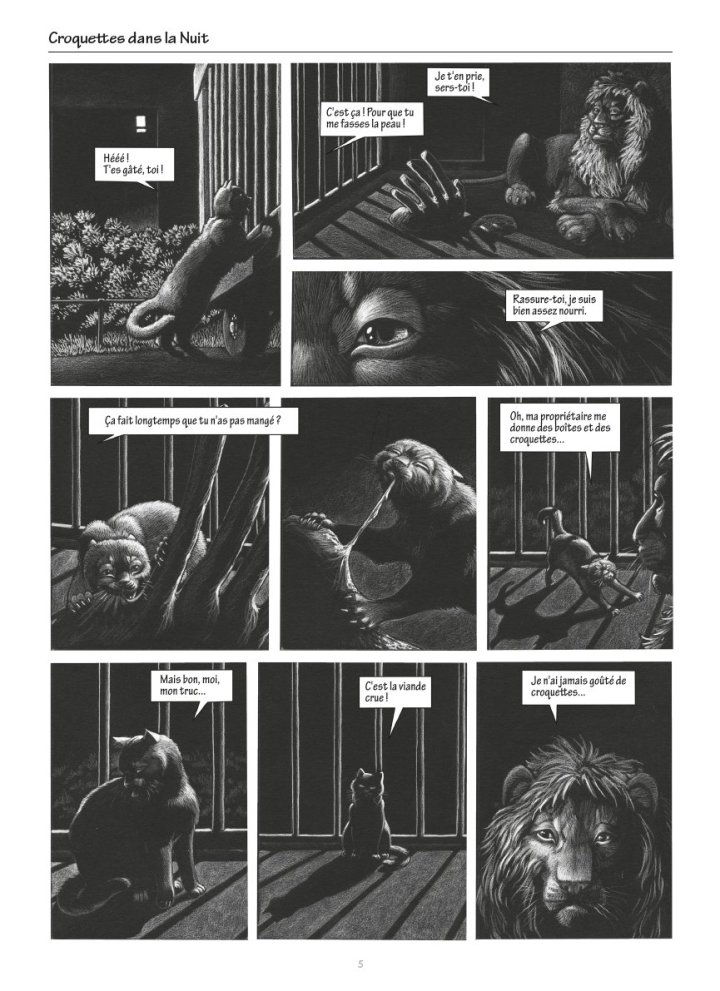 Oubliez les lolcats voici "Le Chat qui n'aimait pas les croquettes"